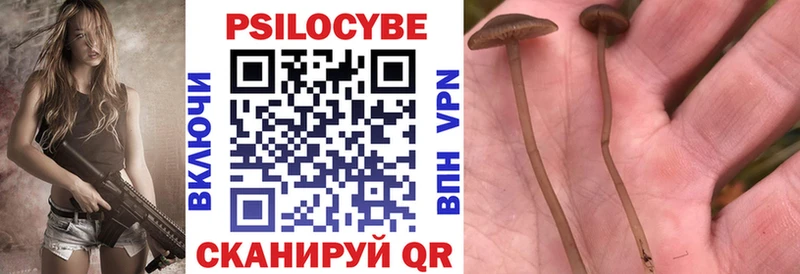 Галлюциногенные грибы мицелий  Барабинск 
