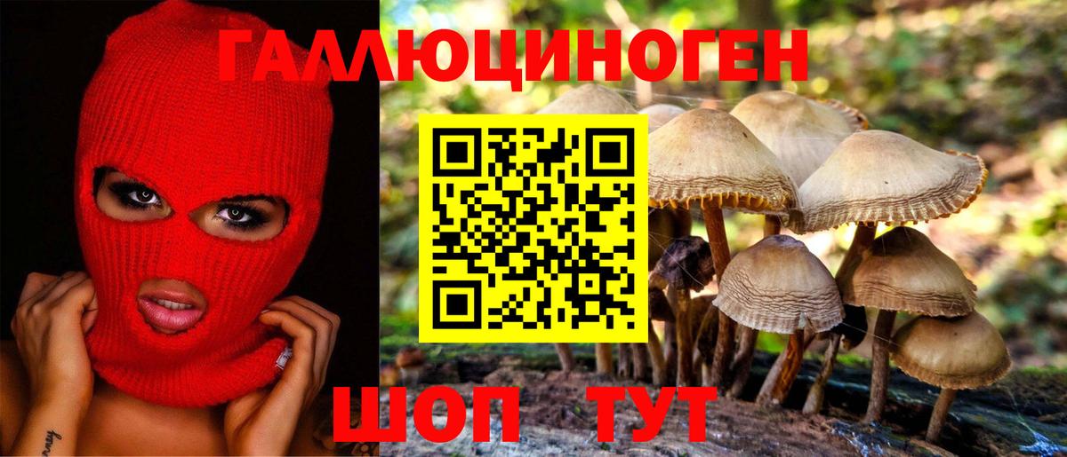 Барабинск  Псилоцибиновые грибы прущие грибы  Вход с VPN 
